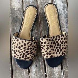 SPLENDID Leopard Print Sandals. Size is 6.5.